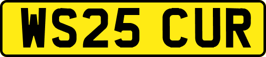 WS25CUR