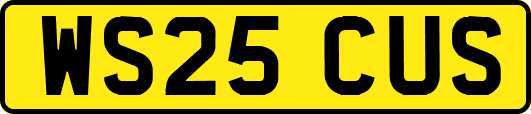 WS25CUS