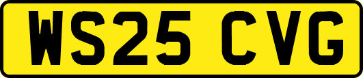 WS25CVG