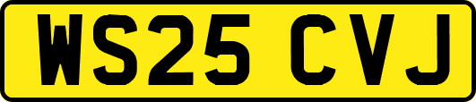 WS25CVJ