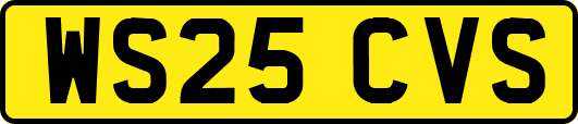 WS25CVS