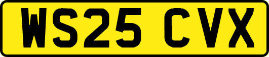WS25CVX