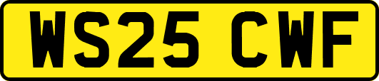 WS25CWF