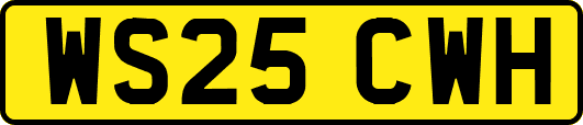 WS25CWH