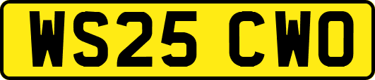 WS25CWO