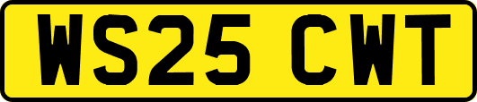 WS25CWT