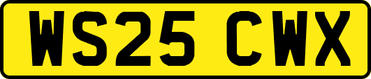 WS25CWX