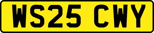 WS25CWY