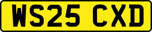 WS25CXD