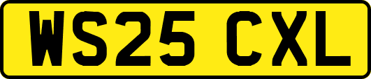 WS25CXL