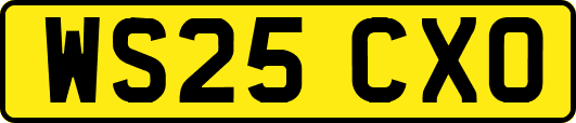 WS25CXO