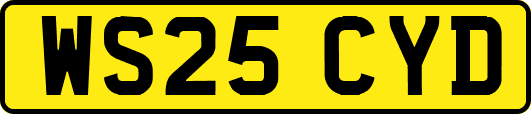 WS25CYD