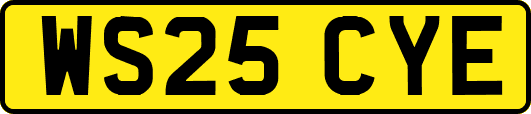 WS25CYE
