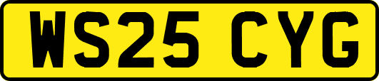 WS25CYG