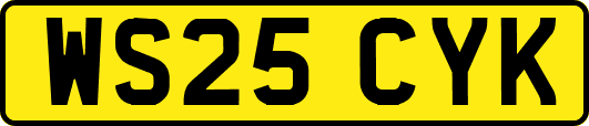 WS25CYK