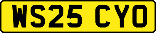 WS25CYO