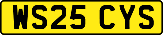 WS25CYS