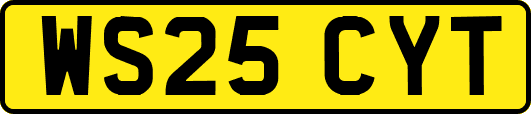 WS25CYT