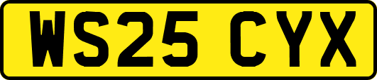 WS25CYX
