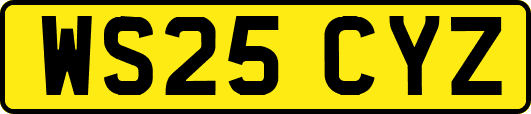WS25CYZ
