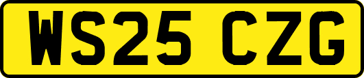 WS25CZG