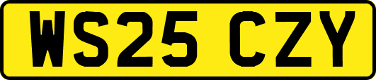 WS25CZY