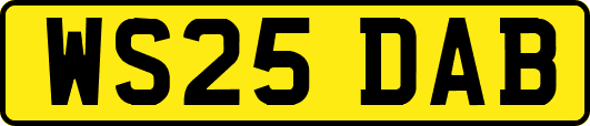 WS25DAB