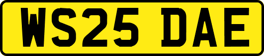 WS25DAE