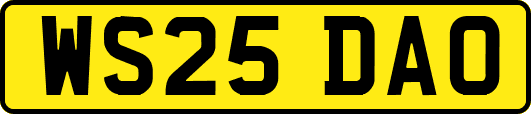 WS25DAO