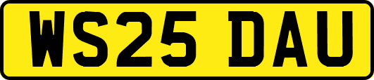 WS25DAU