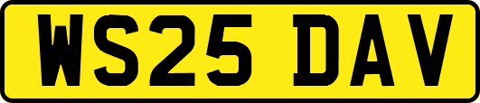 WS25DAV