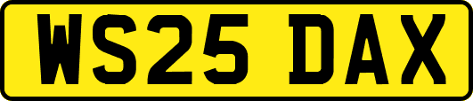 WS25DAX