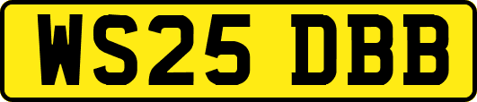 WS25DBB