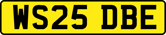 WS25DBE