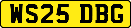 WS25DBG
