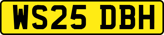 WS25DBH
