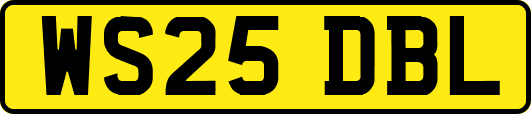 WS25DBL
