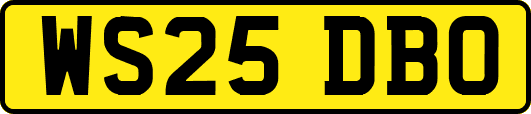 WS25DBO
