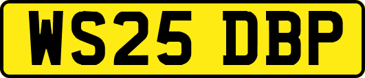 WS25DBP