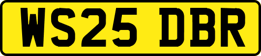 WS25DBR