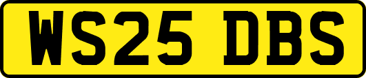 WS25DBS