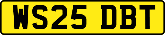 WS25DBT