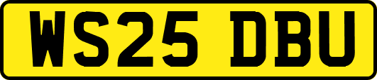 WS25DBU