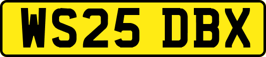 WS25DBX