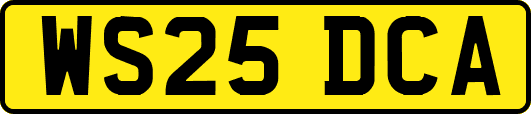 WS25DCA