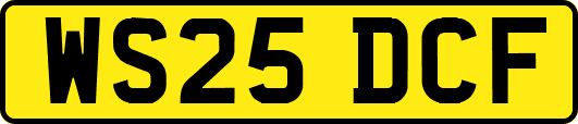 WS25DCF