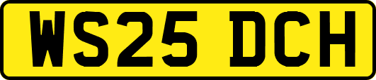WS25DCH