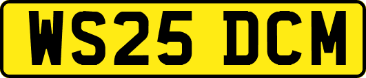 WS25DCM