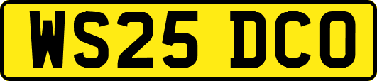 WS25DCO