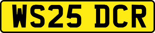 WS25DCR